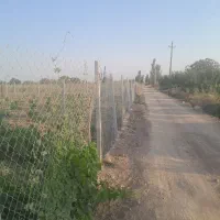یک قطعه باغ ۱۰۵۰ متری تاکستان|فروش دفتر صنعتی، کشاورزی، تجاری|کرج, نوروزآباد|دیوار