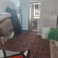 پیلوت ۵۰متری