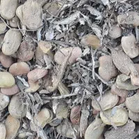 باقله|خدمات باغبانی و درختکاری|دهدشت, |دیوار