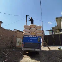 کاه نرم گاوی وگوسفندی
