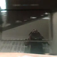 هود در حد نو