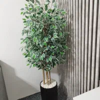 درختچه بنجامین با گلدان بزرگ مدل جدید