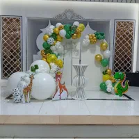 تم تولد و بادکنک آرایی شهر شادی سیرجان