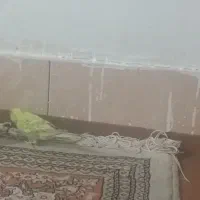 مرغ عشق
