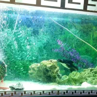 آکواریوم بزرگ به طول یک و نیم متری