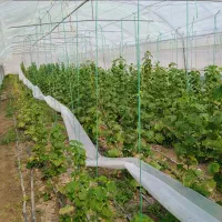 زمین-صنعتی-4000-متر-ناحیه-صنعتی