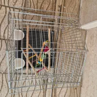 قفس پرنده|لوازم جانبی حیوانات|اصفهان, ملک‌شهر|دیوار