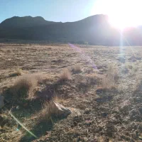 فروش زمین کشاورزی روستای آغچه قابل معاوضه با خودرو|فروش زمین و ملک کلنگی|بوئین و میاندشت, |دیوار