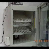 دستگاه جوجه کشی  ( مدبر )|لوازم جانبی حیوانات|قم, خداکرم|دیوار