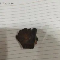 شهاب سنگ|کلکسیون اشیاء عتیقه|مشهد, نیزه|دیوار