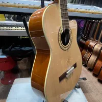 گیتار کلاسیک کاتوی سانتانا گالری موسیقی آرتیا|گیتار، بیس، امپلیفایر|لاهیجان, انقلاب|دیوار