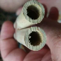 نی انبان|سازهای بادی|شاهینشهر, دهخدا|دیوار