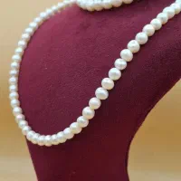 سرویس مروارید اصلی بحرینی متوسط S|جواهرات|تهران, ولنجک|دیوار