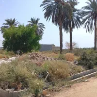 زمین 250|فروش زمین و ملک کلنگی|حمیدیه, |دیوار