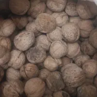 گردوبونات|خوردنی و آشامیدنی|شیراز, نصر|دیوار