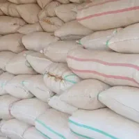 کاه دیم کمباین درجه یک