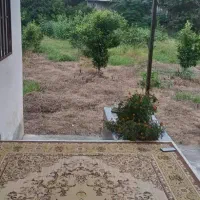 ویلا دربستی رامسر|اجارهٔ کوتاه‌مدت ویلا و باغ|کتالم و سادات شهر, |دیوار