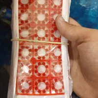 ترقه