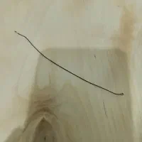 وسایل گوشی‌A10|لوازم جانبی موبایل و تبلت|چابهار, |دیوار