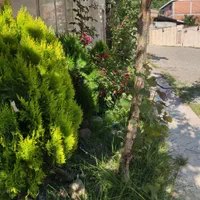 ویلا استخر دار مالک هستم|اجارهٔ کوتاهمدت ویلا و باغ|آستارا, |دیوار