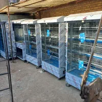 بلال پز تنوری و انواع وسایل فست فود رستوران|کافی‌شاپ و رستوران|سقز, |دیوار