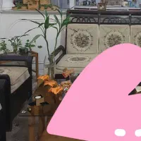 مبل نیم استیل