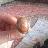 انگوشترنوقر فروشی