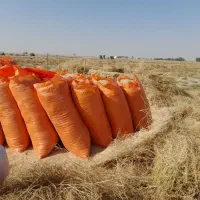 کاه گندم امسالی زابل|حیوانات مزرعه|جزنیک, |دیوار