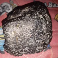 شهاب سنگ|جواهرات|بم, |دیوار