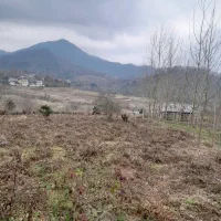 فروش زمین باغی۴۰۰۰متری/بر اسفالت/اطاقور|فروش زمین و ملک کلنگی|اطاقور, |دیوار