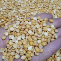 حبوبات لوبیا چیتی قرمز نخود لپه عدس