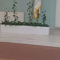 آپارتمان دو خوابه در چهارراه اندیشه سند تک برگ|فروش آپارتمان|مشهد, شهرک رازی|دیوار