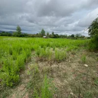 یک هکتار زمین/مناسب برای باشگاه سوارکاری