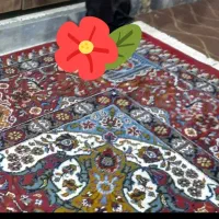 چند تخته فرش بسیار تمیز، نو و شیک|فرش|نورآباد ممسنی, |دیوار
