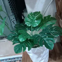 بوته گل مصنوعی زیر قیمت کاملا نو