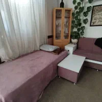 همخونه-هم-خانه