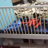 تخت گهواره کودک|تخت و سرویس خواب|برازجان, |دیوار