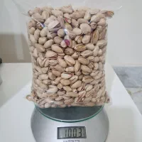 پسته اکبری امساله یزد