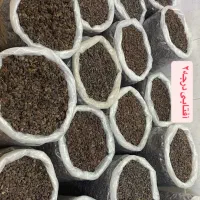 کشمش آفتابی