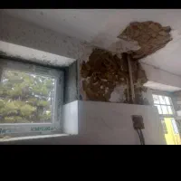 بازسازی ساختمان صفر تا صد|خدمات پیشه و مهارت|مشهد, طبرسی شمالی|دیوار