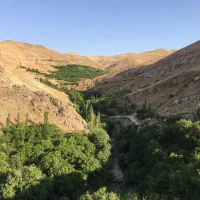 طبیعت گردی .تور چارتر