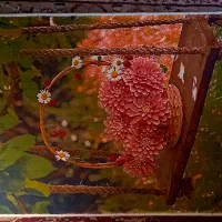 پادری