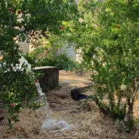 باغ ۵۷۰ متری فاروق مرودشت|فروش زمین و ملک کلنگی|سیدان, |دیوار