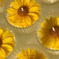 شمع آفتابگردون