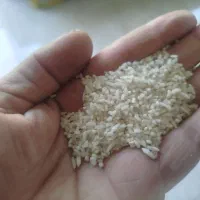 ب رنج نیم دانه و درشت