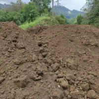 فروش کود ، خاک ، خاک برگ ،پوست بادام ، پوست برنج|خدمات باغبانی و درختکاری|رامسر, |دیوار