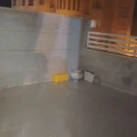 واحد ۱۴۰ متری خیابان معلم|اجارهٔ آپارتمان|بیرجند, |دیوار