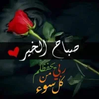 خدمت رسانی و جابجایی بار با وانت