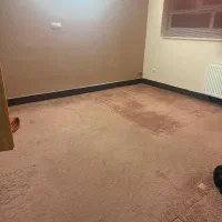 موکت ۱۲ متری پالاز