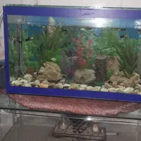 آکواریوم با میز